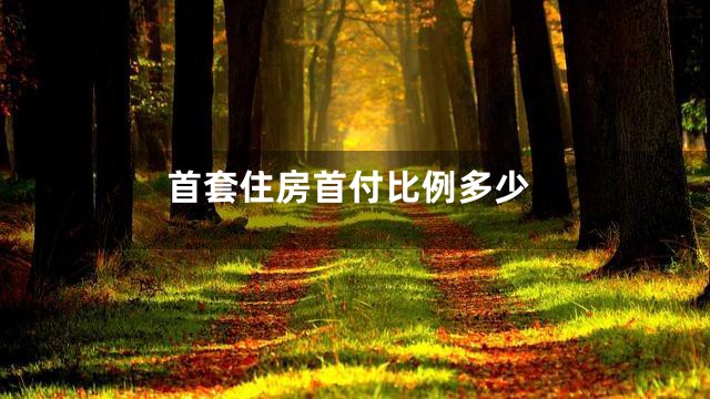 首套住房首付比例多少