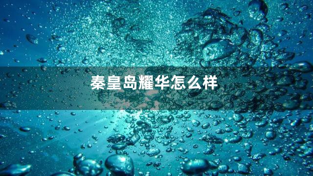 秦皇岛耀华怎么样