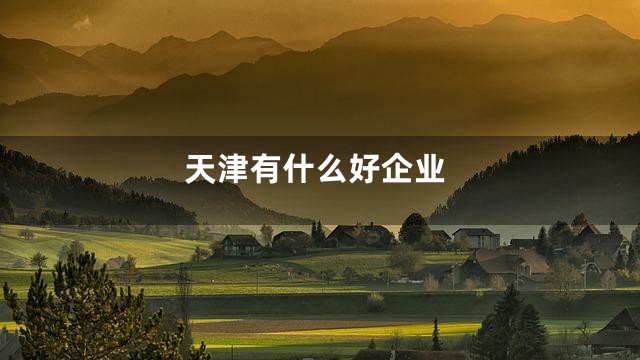 天津有什么好企业