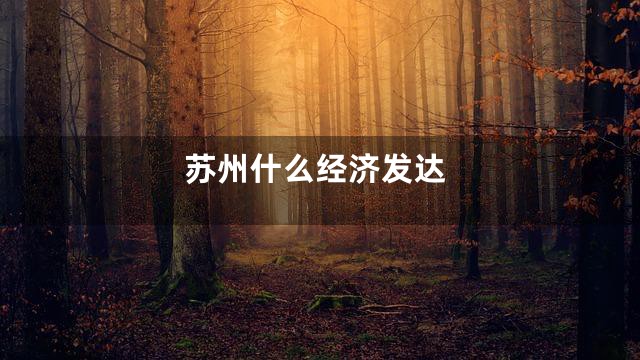苏州什么经济发达