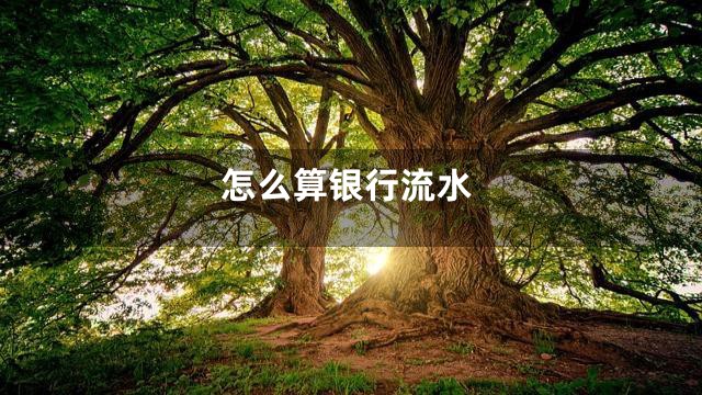 怎么算银行流水