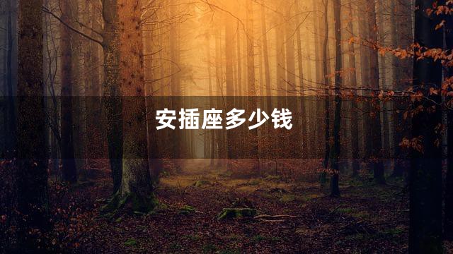 安插座多少钱