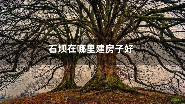 石坝在哪里建房子好