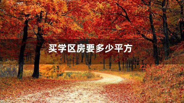 买学区房要多少平方