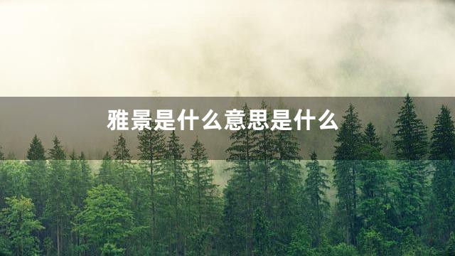 雅景是什么意思是什么