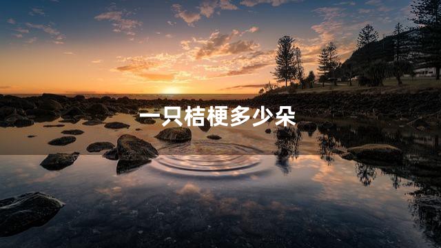 一只桔梗多少朵