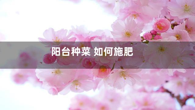 阳台种菜 如何施肥