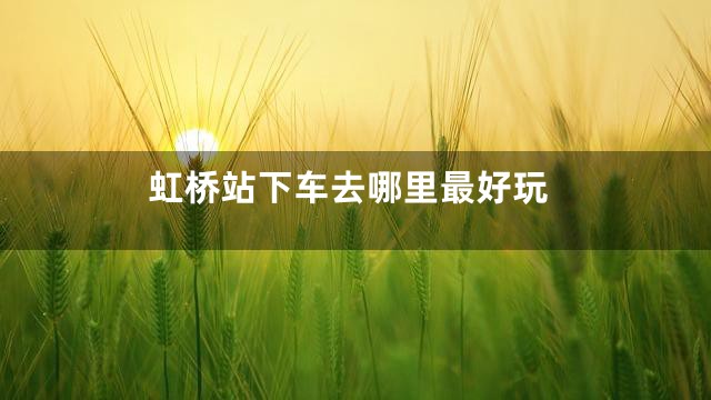 虹桥站下车去哪里最好玩