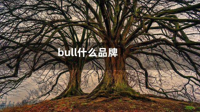 bull什么品牌