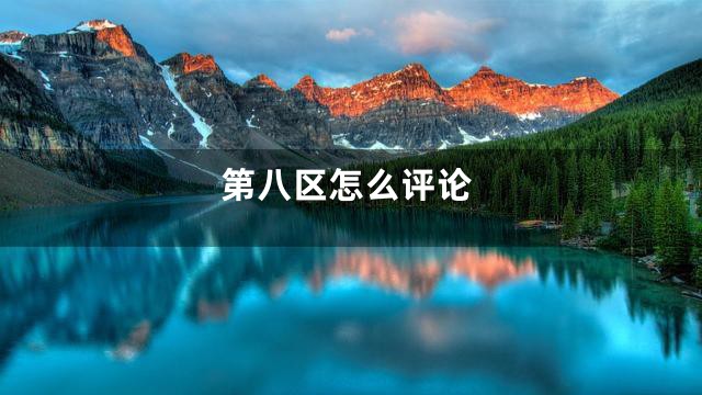 第八区怎么评论