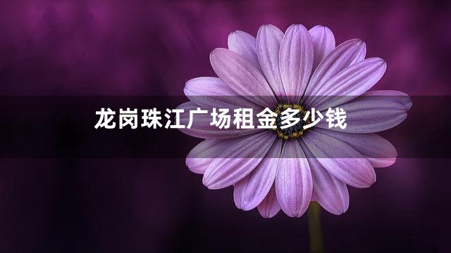 龙岗珠江广场租金多少钱