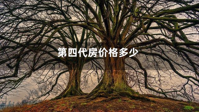 第四代房价格多少