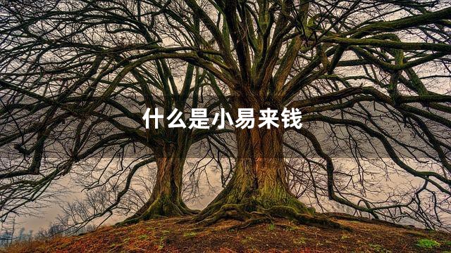 什么是小易来钱