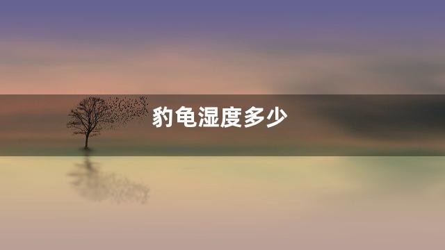 豹龟湿度多少