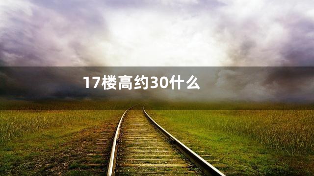 17楼高约30什么