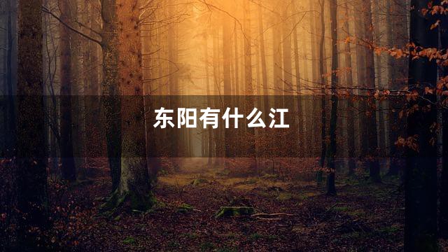 东阳有什么江