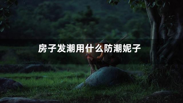 房子发潮用什么防潮妮子