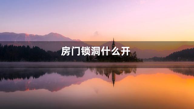 房门锁洞什么开