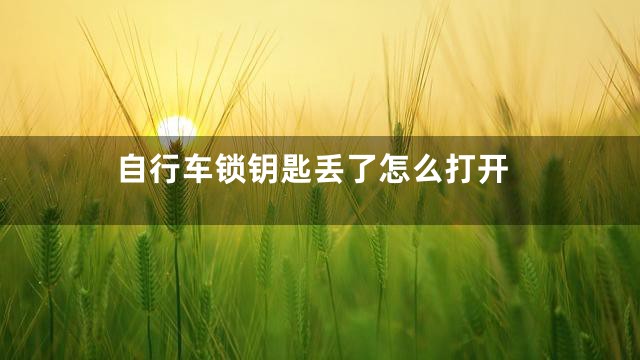 自行车锁钥匙丢了怎么打开