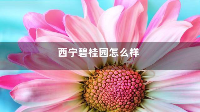 西宁碧桂园怎么样