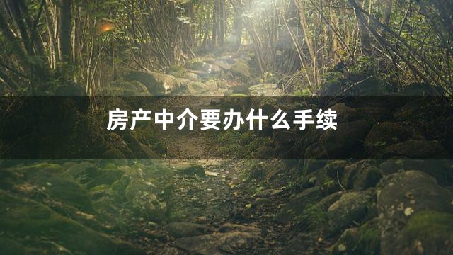 房产中介要办什么手续