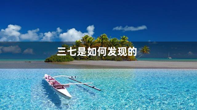 三七是如何发现的