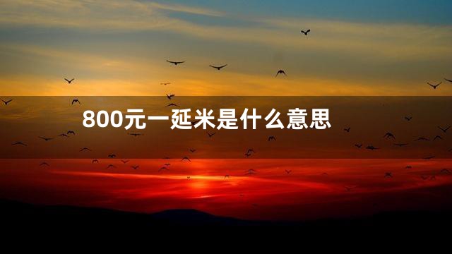 800元一延米是什么意思
