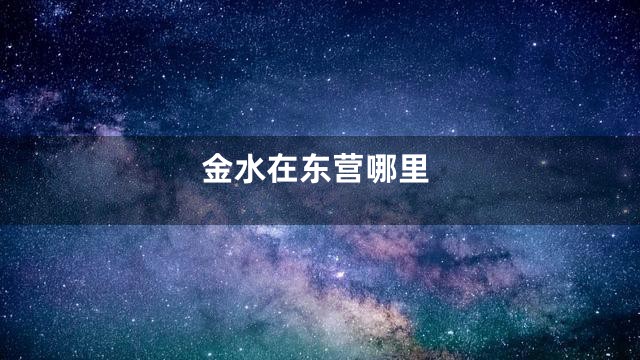 金水在东营哪里