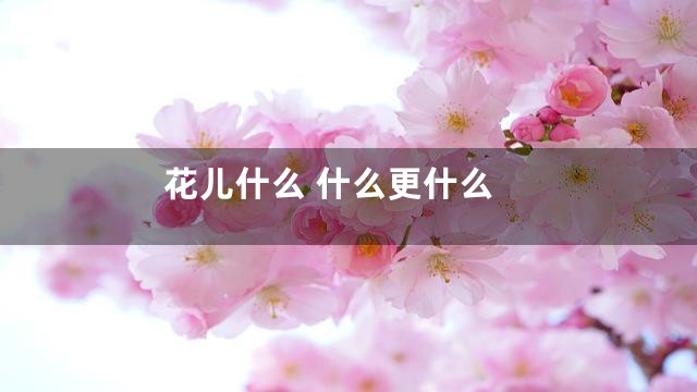 花儿什么 什么更什么