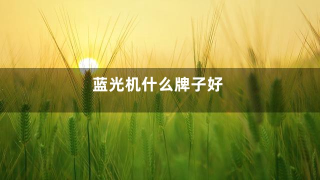 蓝光机什么牌子好