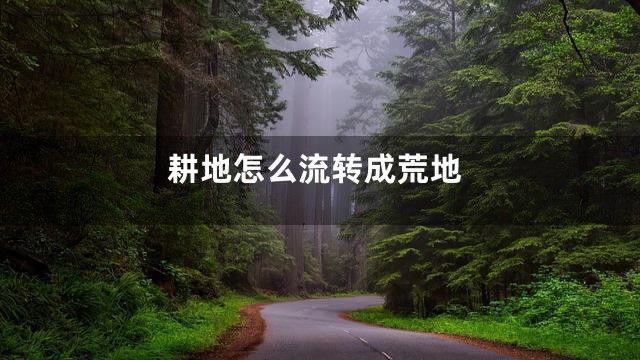 耕地怎么流转成荒地