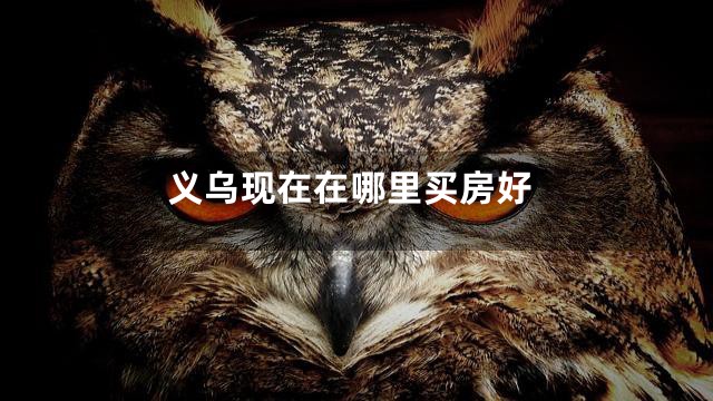 义乌现在在哪里买房好