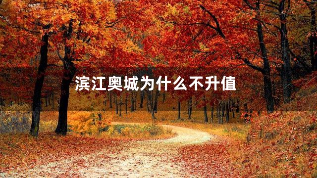 滨江奥城为什么不升值