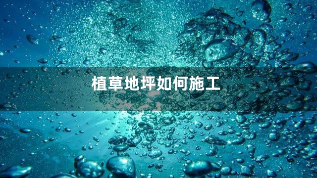 植草地坪如何施工