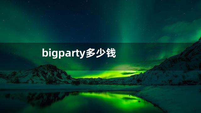 bigparty多少钱