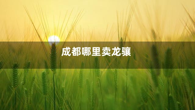 成都哪里卖龙骧