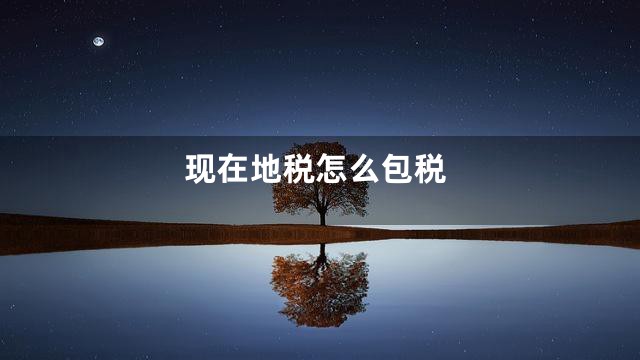 现在地税怎么包税