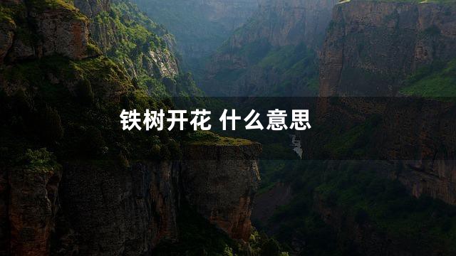 铁树开花 什么意思