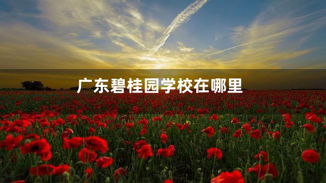 广东碧桂园学校在哪里