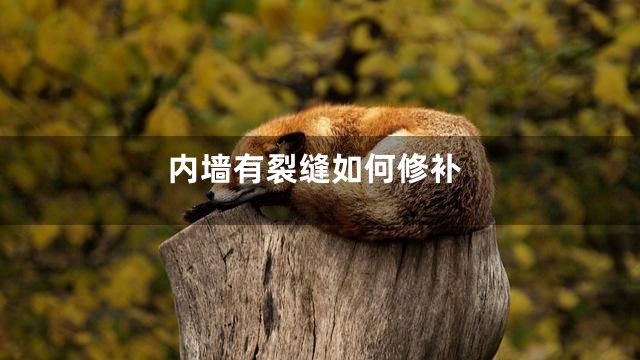 内墙有裂缝如何修补