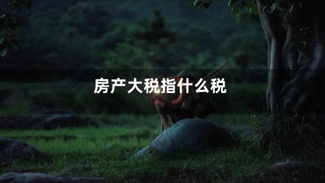 房产大税指什么税