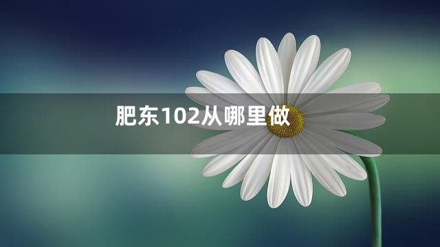 肥东102从哪里做
