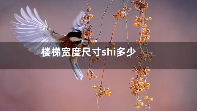 楼梯宽度尺寸shi多少