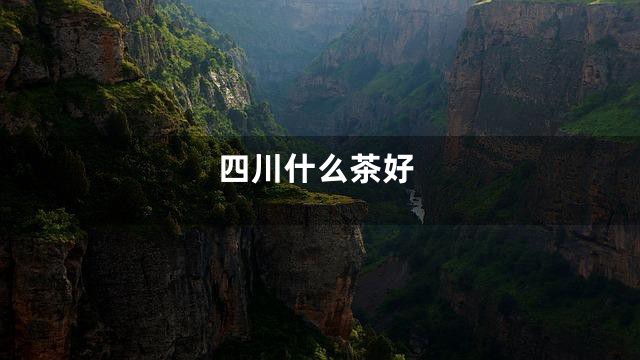 四川什么茶好