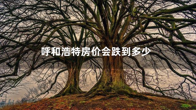 呼和浩特房价会跌到多少