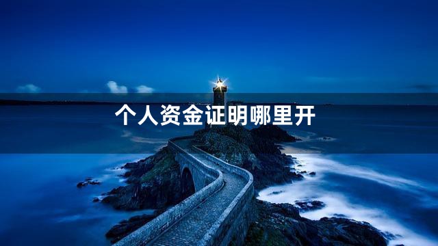 个人资金证明哪里开