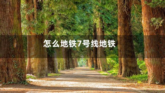 怎么地铁7号线地铁