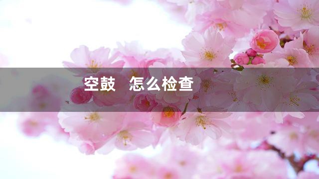 空鼓   怎么检查