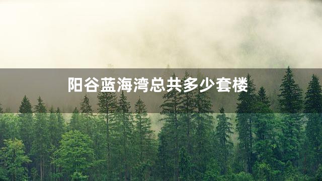 阳谷蓝海湾总共多少套楼