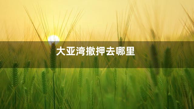 大亚湾撤押去哪里